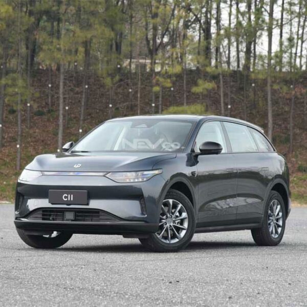 Gray_Leapmotor C11