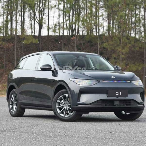 Gray_Leapmotor C11 - Image 3