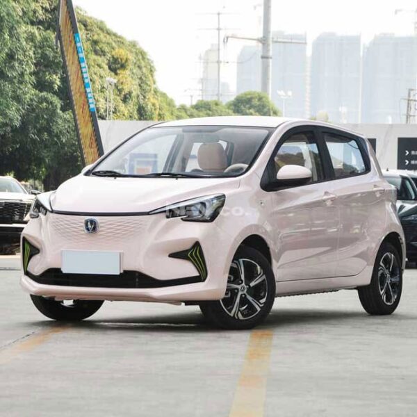 Pink_Changan Benben eStar