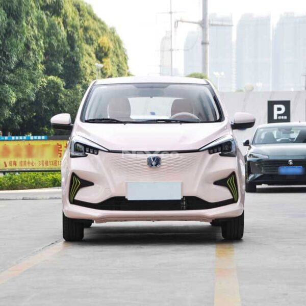Pink_Changan Benben eStar - Image 2