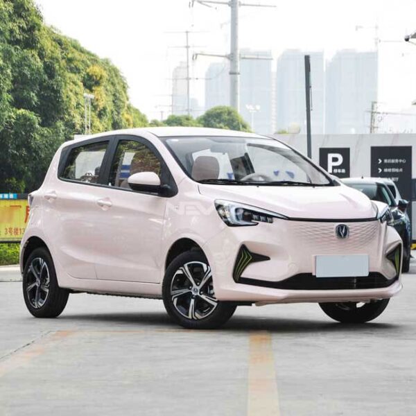 Pink_Changan Benben eStar - Image 3