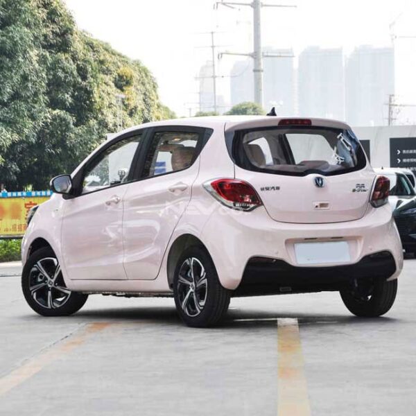 Pink_Changan Benben eStar - Image 5