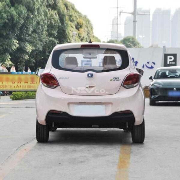 Pink_Changan Benben eStar - Image 7