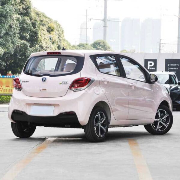 Pink_Changan Benben eStar - Image 6