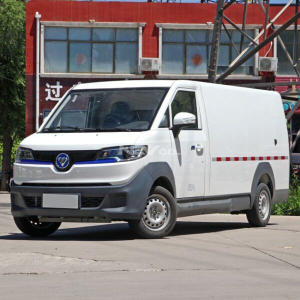 White_Foton E7