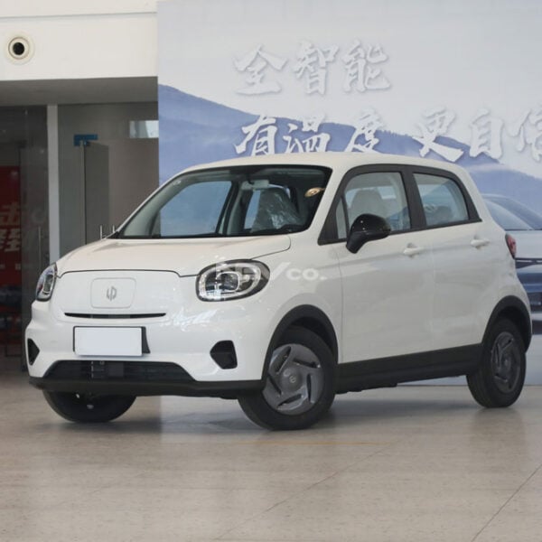 White_Leapmotor T03
