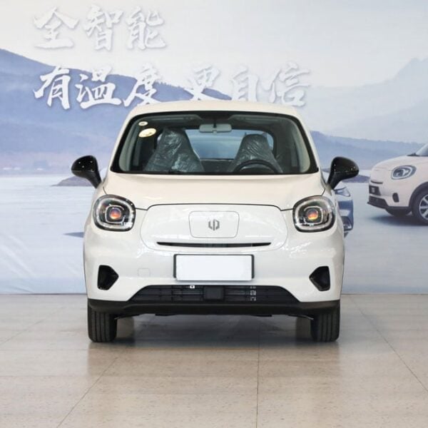 White_Leapmotor T03 - Image 2
