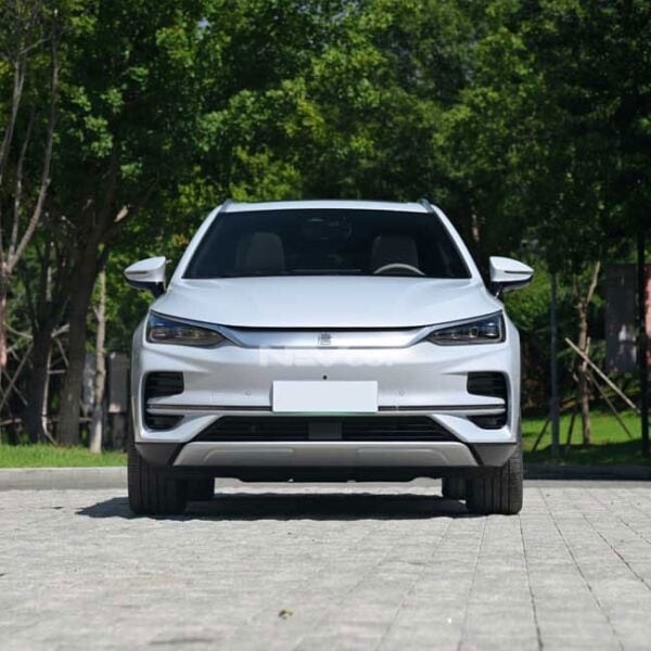Gray_BYD Tang - Image 2