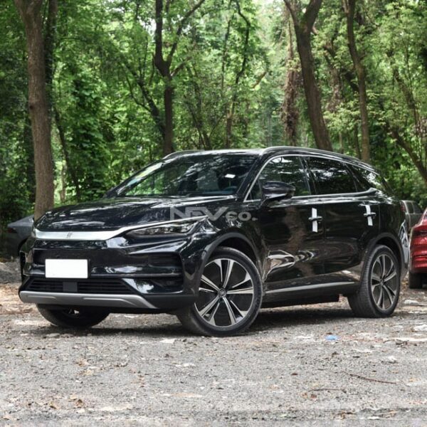 Black_BYD Tang