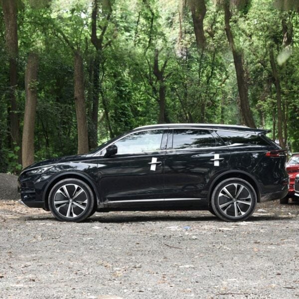 Black_BYD Tang - Image 4