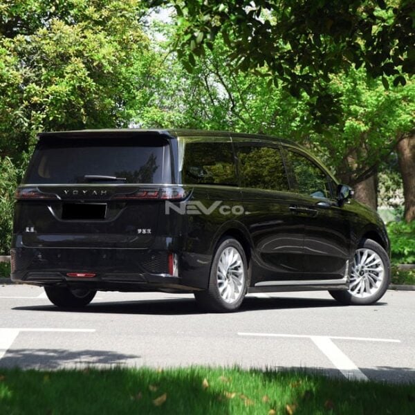 Black_Voyah Dreamer - Image 7