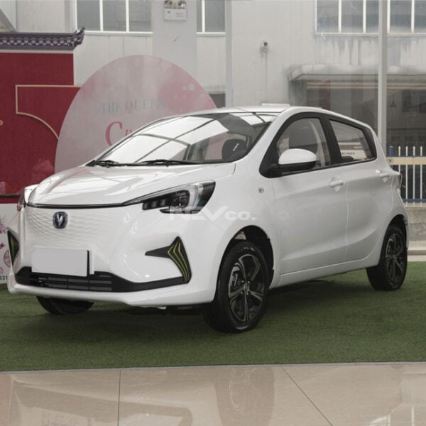 White_Changan Benben eStar