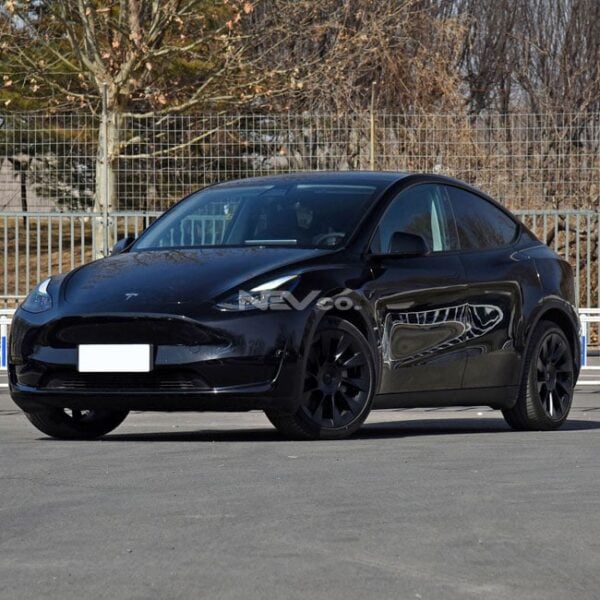 Black_Tesla Model Y