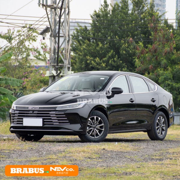 Black_BYD Chazor 05