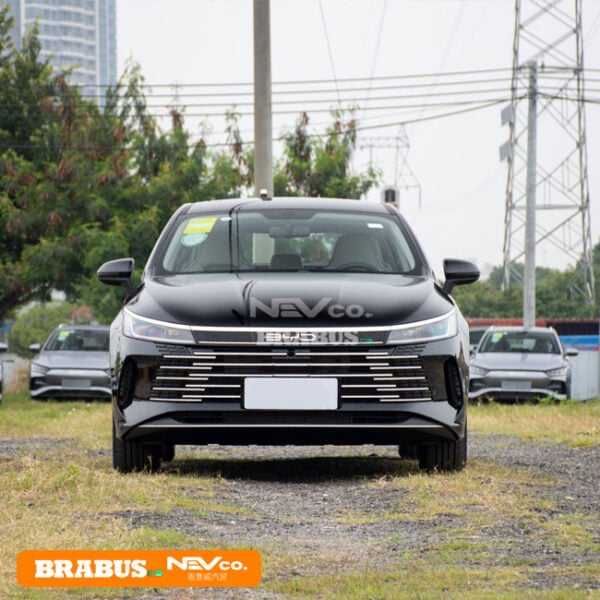 Black_BYD Chazor 05 - Image 2