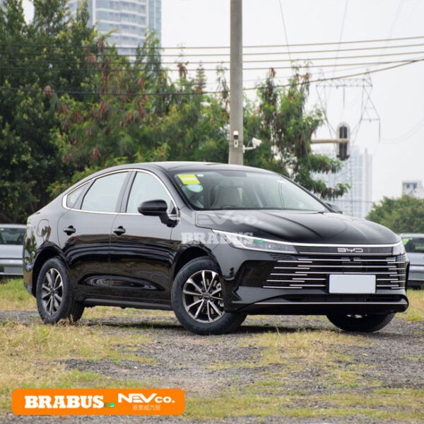 Black_BYD Chazor 05 - Image 3