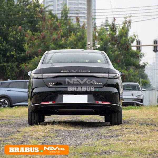 Black_BYD Chazor 05 - Image 6