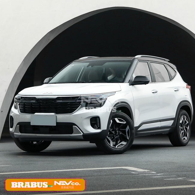 seltos black pearl white