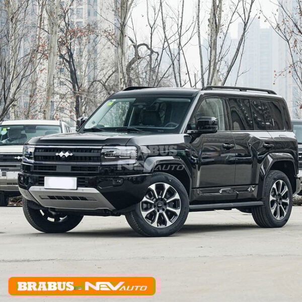 Black_Byd Leopard 5