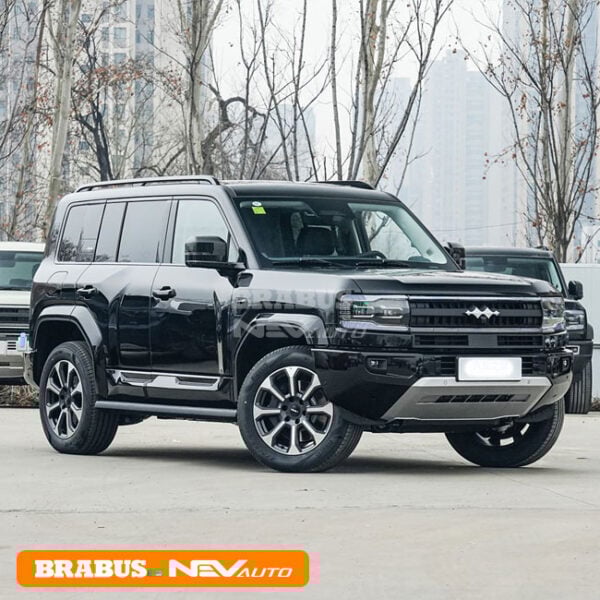 Black_Byd Leopard 5 - Image 3