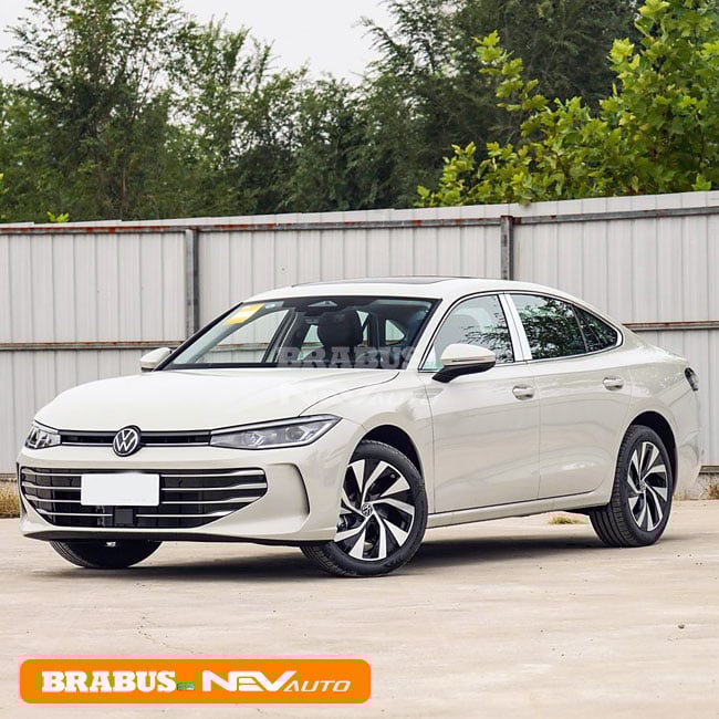White_Volkswagen Passat