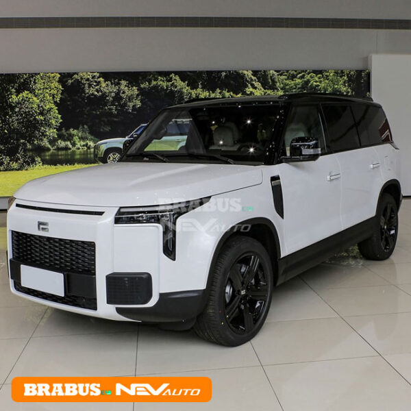 White_ROX 01