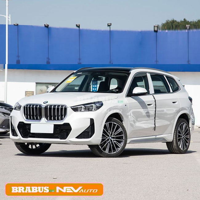 BMW X1 Mineral White