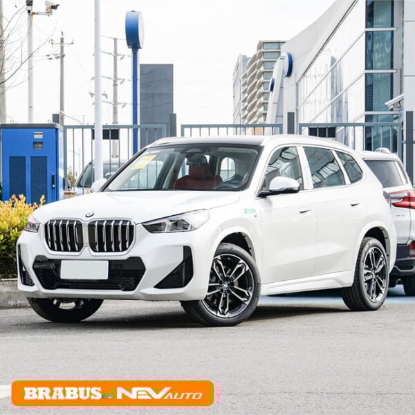 White_BMW X1