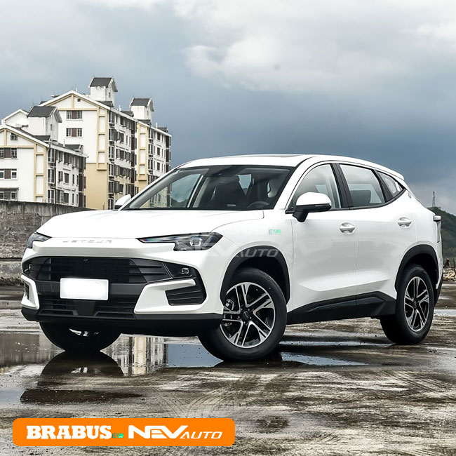 dasheng moonlight white