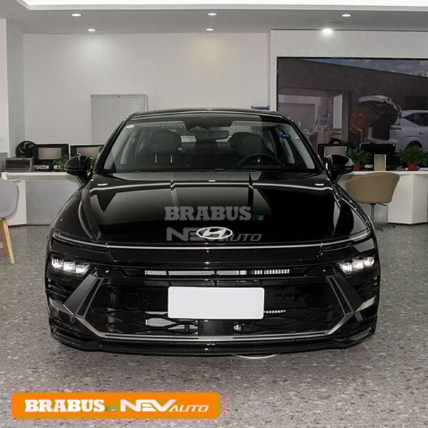 Black_Sonata - Image 2