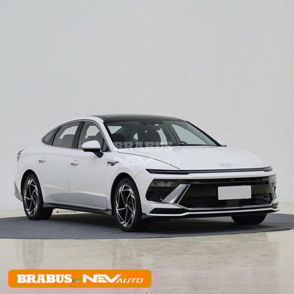 White_Sonata - Image 3