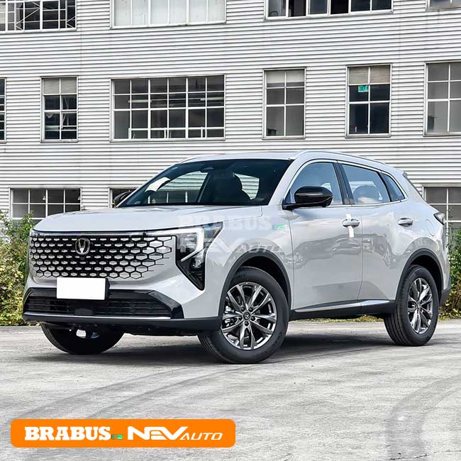 CS55Plus fourth generation Atomic putty