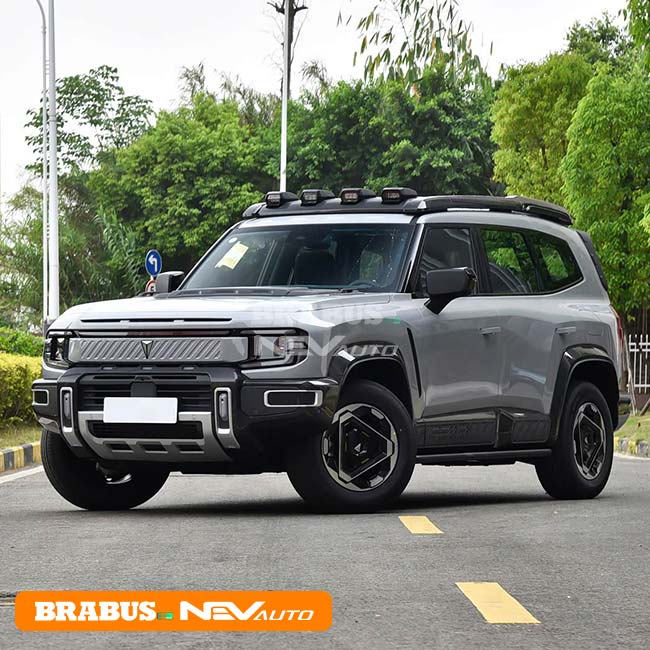 Deepal G318 Mo Tuo Hui