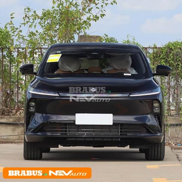 Dongfeng Aeolus L8 - Image 2