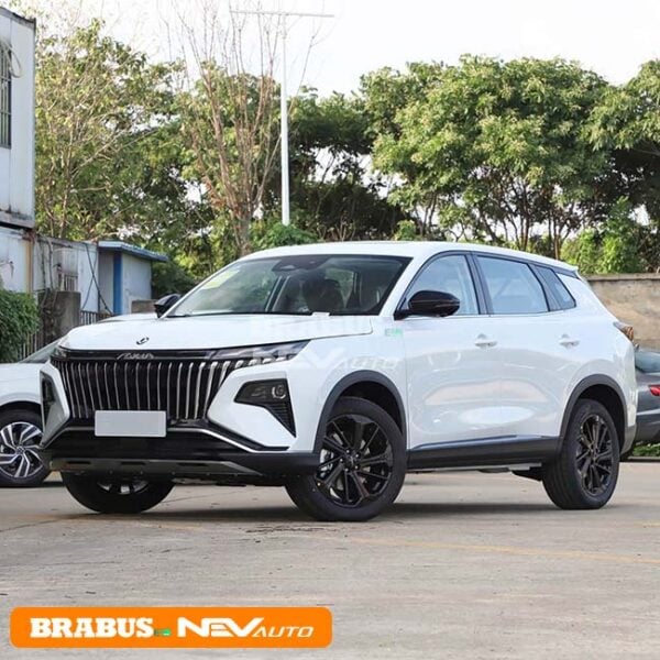 Dongfeng Aeolus HAOJI