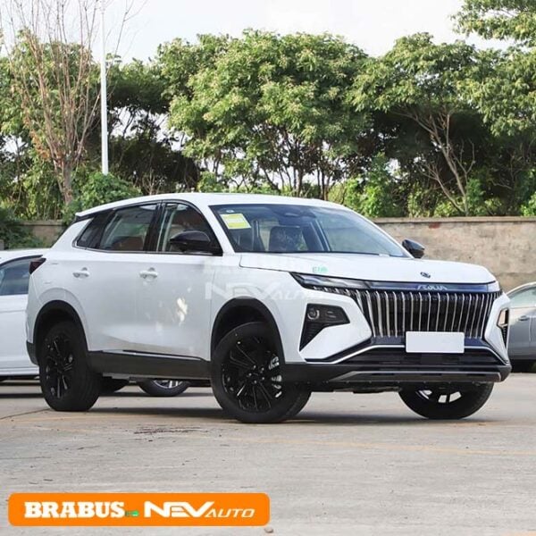 Dongfeng Aeolus HAOJI - Image 3