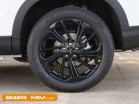 Dongfeng-Huge-detail_2