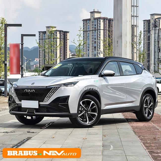 Dongfeng Mage Duan Inkstone Black Sci Fi Silver