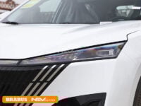 Dongfeng-Mage-detail_1