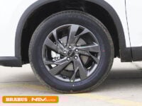 Dongfeng-Mage-detail_2