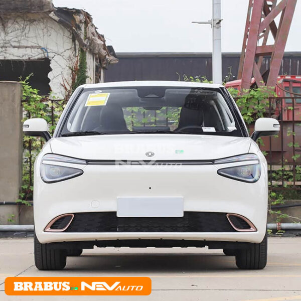 Dongfeng NAMMI 01 - Image 2