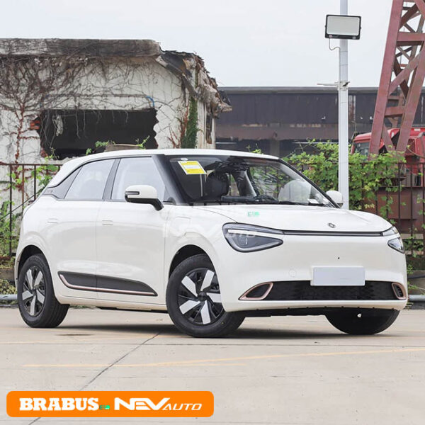 Dongfeng NAMMI 01 - Image 3