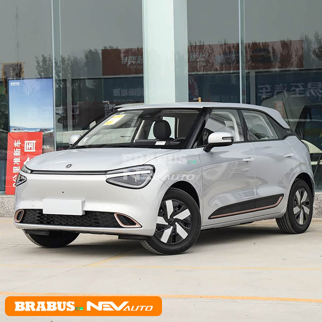 Dongfeng eπ Nammi 01 A Silver Ingot