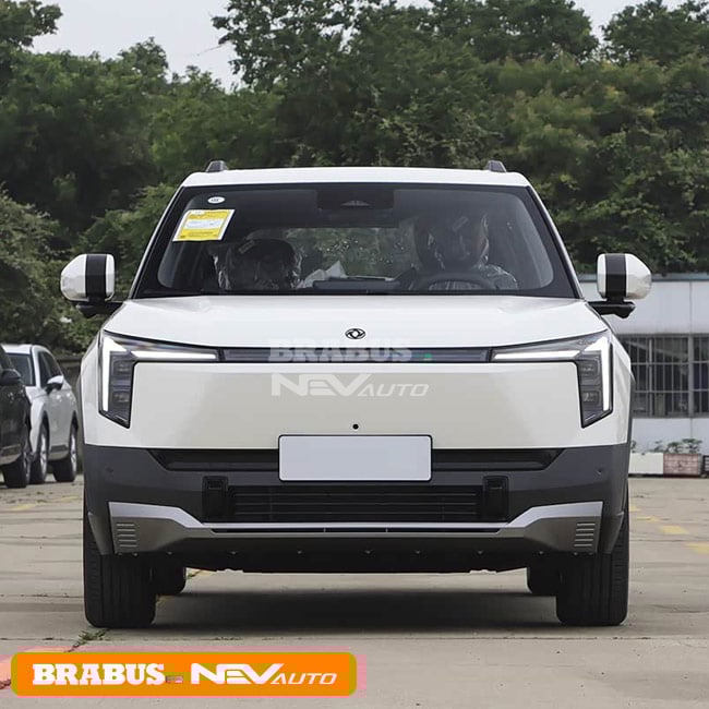 Dongfeng eπ Nammi 06 1