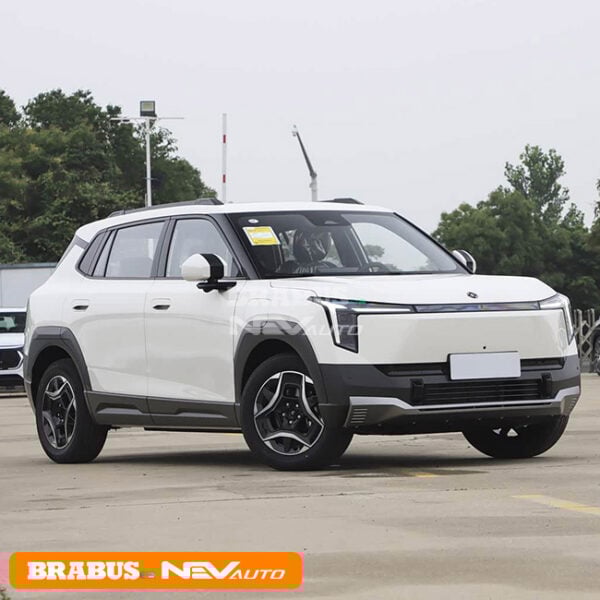 Dongfeng NAMMI 06 - Image 3