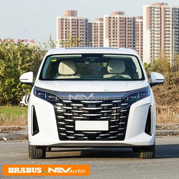 BYD XIA - Image 2