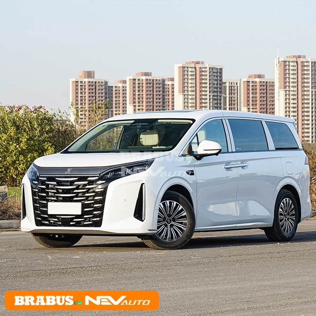 BYD XIA