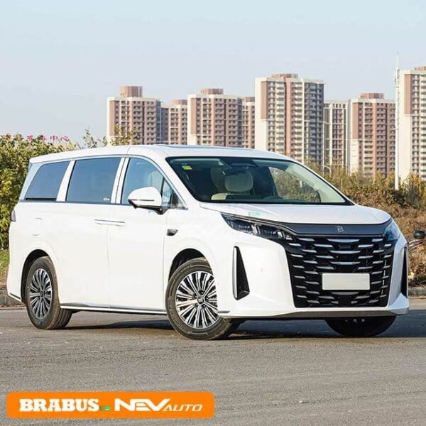 BYD XIA - Image 3