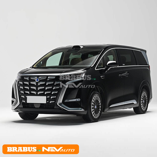 Denza D9 Jade Black