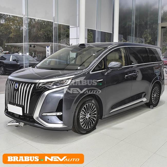 Denza D9 Starry Grey 1